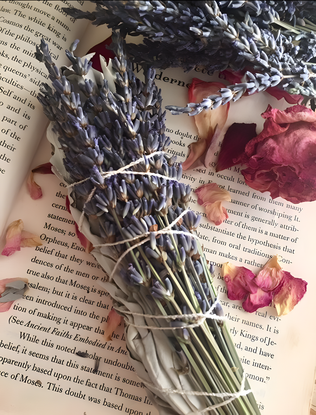 The Versatile Magic of Dried Lavender - MysticPavilion
