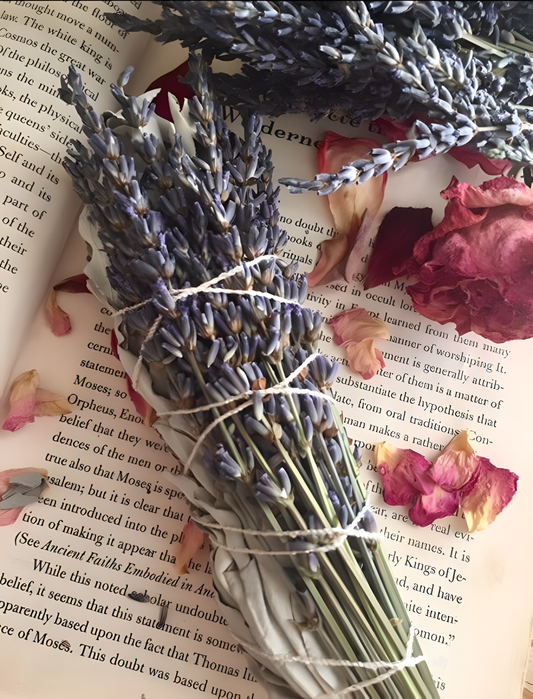The Versatile Magic of Dried Lavender - MysticPavilion